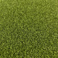 Chip Caddie Premium Turf
